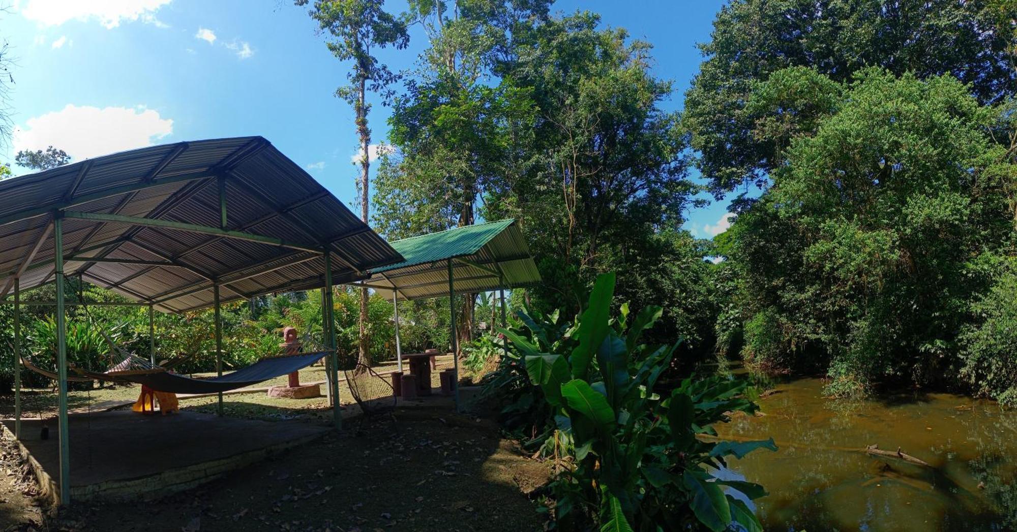 Finca La Paz - Sarapiqui Puerto Viejo de Sarapiqui Екстериор снимка