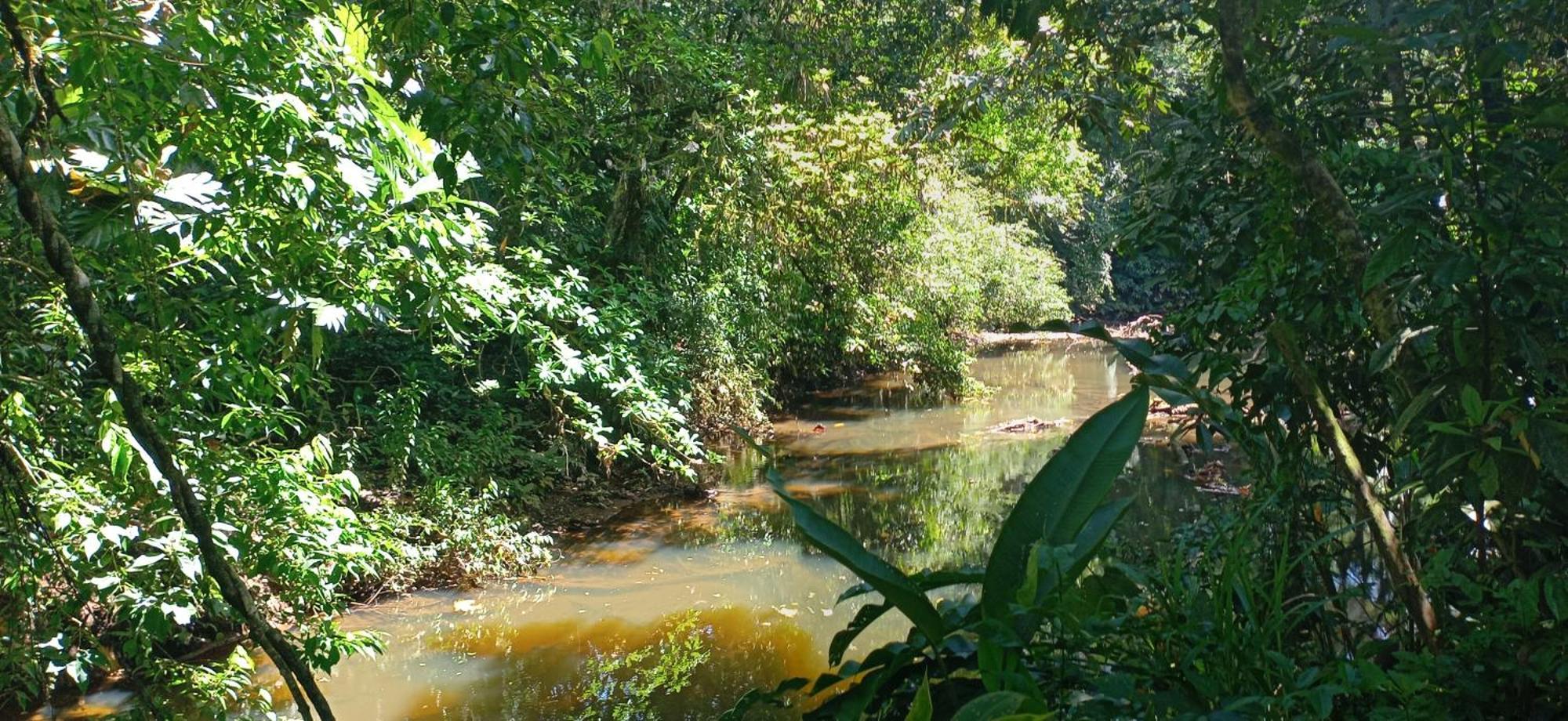 Finca La Paz - Sarapiqui Puerto Viejo de Sarapiqui Екстериор снимка
