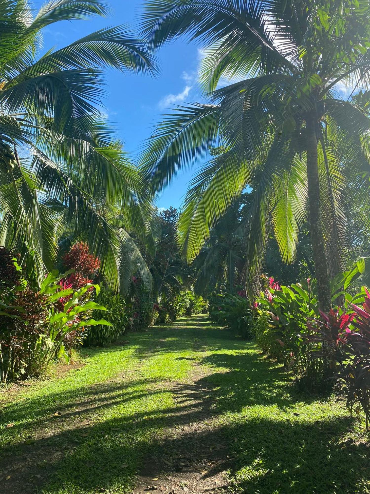 Finca La Paz - Sarapiqui Puerto Viejo de Sarapiqui Екстериор снимка