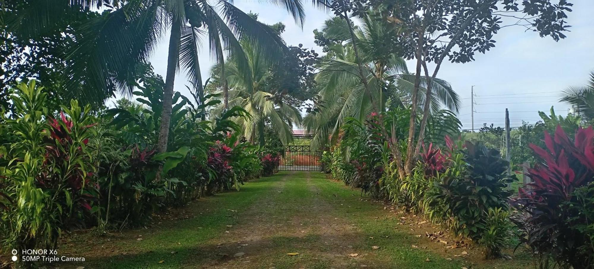 Finca La Paz - Sarapiqui Puerto Viejo de Sarapiqui Екстериор снимка